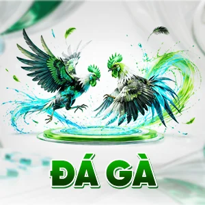 icon đá gà