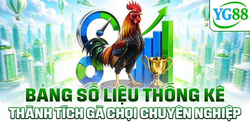 Bảng số liệu thống kê thành tích gà chọi chuyên nghiệp