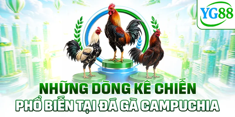 Những dòng kê chiến phổ biến tại đá gà Campuchia