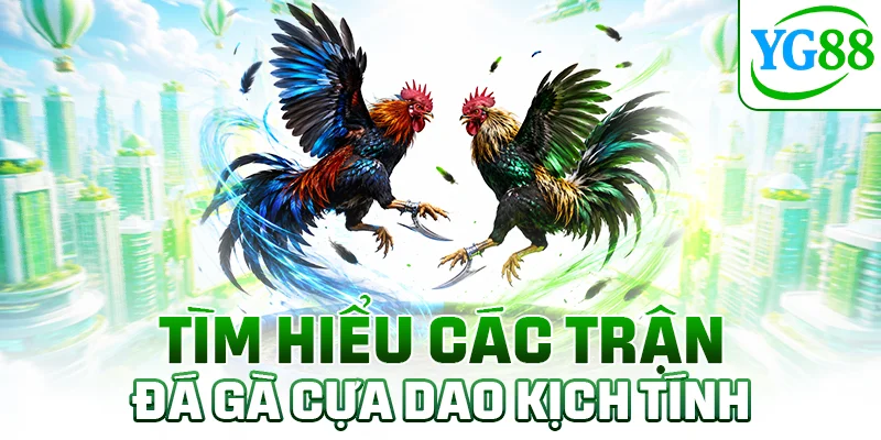 Tìm hiểu các trận đá gà cựa dao kịch tính